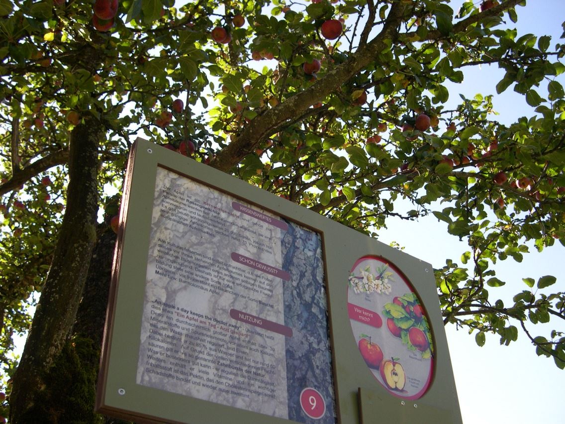 Alpendorf-Panoramaweg mit Baumlehrpfad